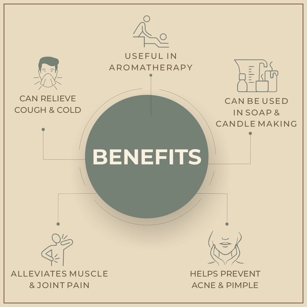 Salvia Natural Essential Oils Rhododendron Essential Oil Salvia Natural Essential Oils Rhododendron Essential Oil